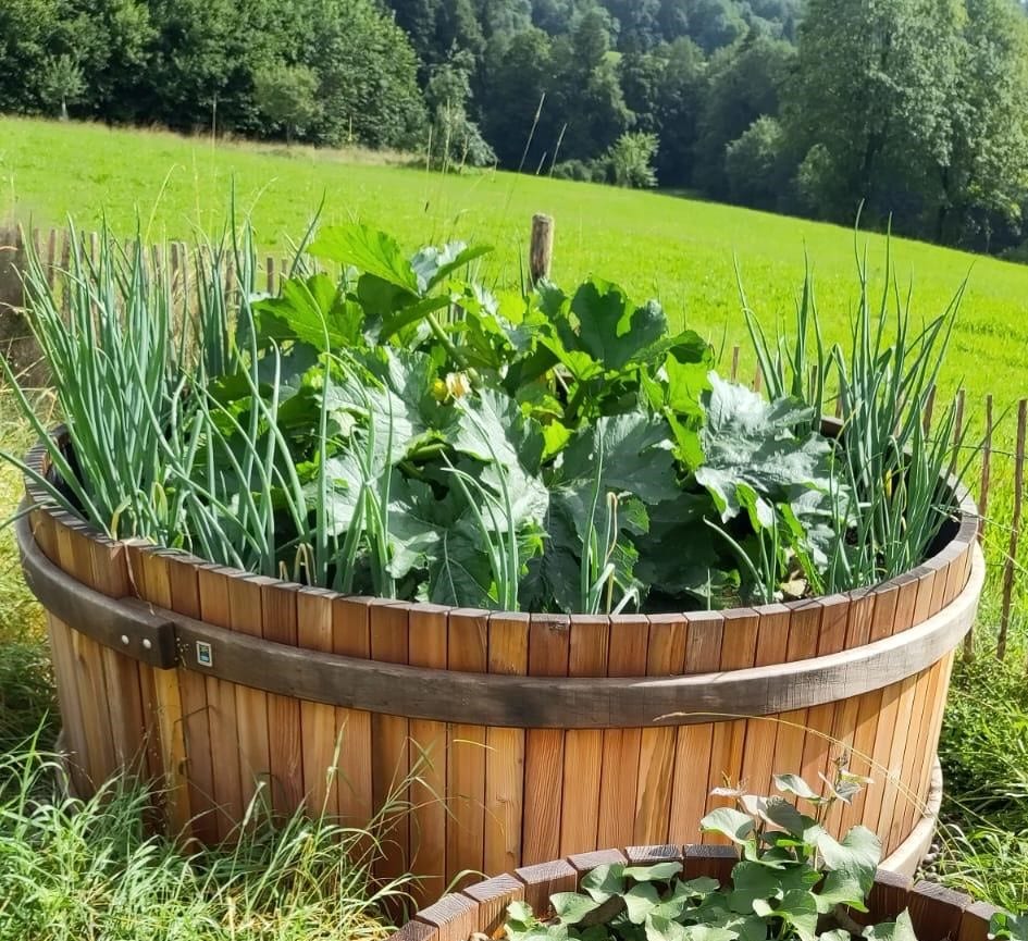 Rundhochbeet Lärche Ø 110 cm, Höhe 50 cm
